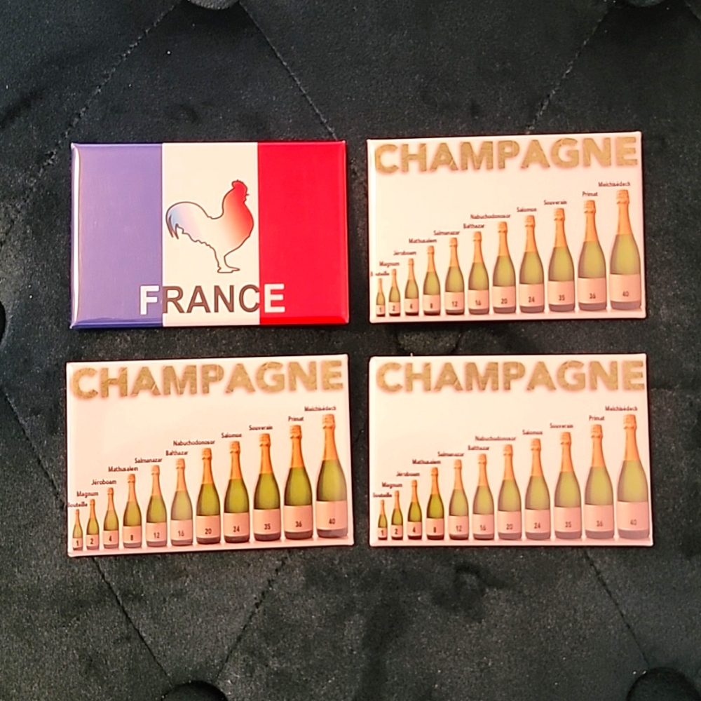 4 French Magnets NWT